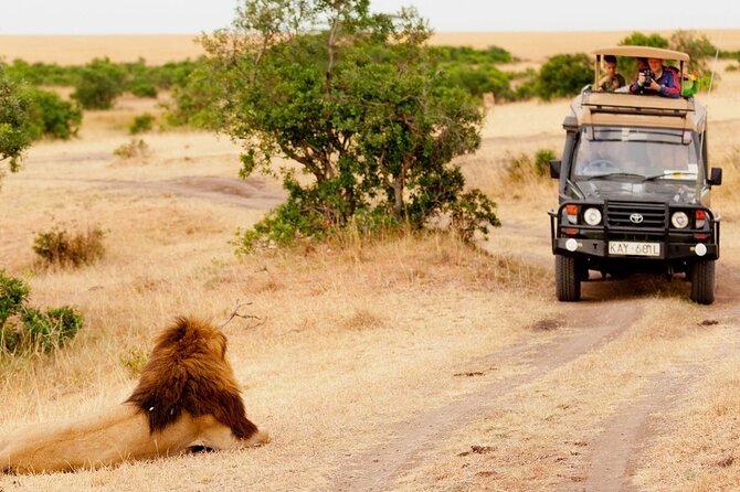 5-Day Mid-Range Safari in Tanzania - Arusha to Tarangire: Starting Close to Kilimanjaro