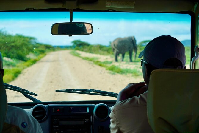 5-Day Mid-Range Safari in Tanzania - Lake Manyara National Park: Lions, Hippos, Flamingos, and Rift Valley Air