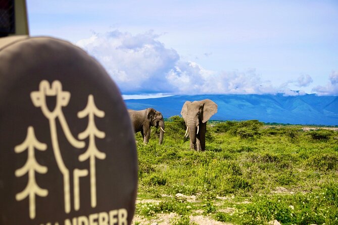5-Day Mid-Range Safari in Tanzania - Guides, Support, and the Flexibility That Actually Matters