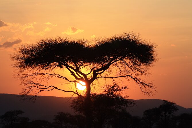 5-Day private Camping Safari Tour in Tanzania - Camping safari reality: what you’re really buying with a tent