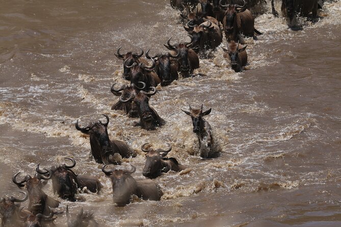 5-Day Private Northern Tanzania Safari from Arusha - Food, Comfort, and the Safari-Table Lunch Approach