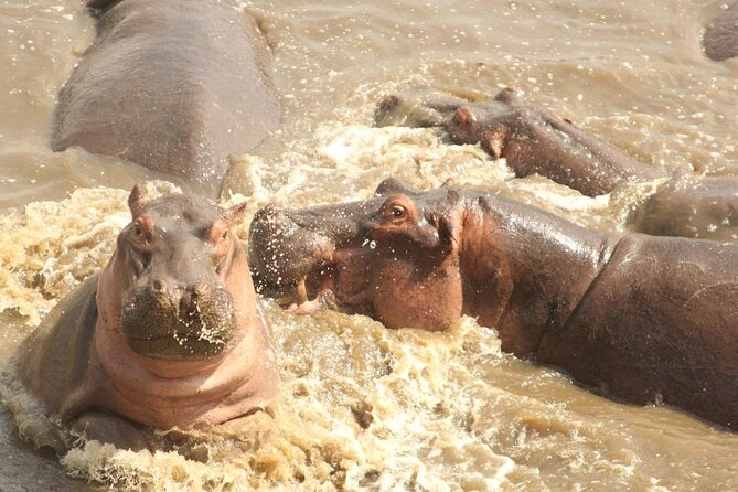 5 day safari Tarangire Serengeti and Ngorongoro crater - Lodges, tents, and the comfort choices that matter