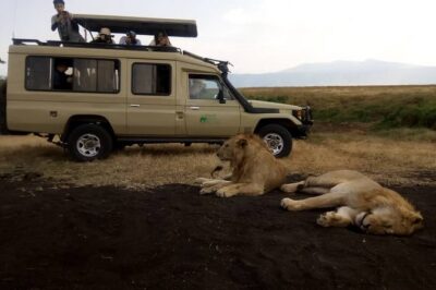 5 Day Silver Serengeti & Ngorongoro Crater & Tarangire Safari - Serengeti check-in at Heritage Camps: why staying in the right area pays off