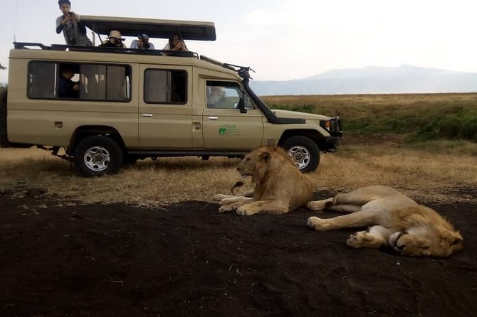 5 Day Silver Serengeti & Ngorongoro Crater & Tarangire Safari - Serengeti check-in at Heritage Camps: why staying in the right area pays off
