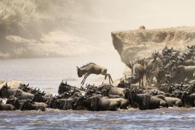 5 Days 4 Nights Tarangire, Serengeti , Ngorongoro & Manyara Wildlife Safari - Day 2: Riding Into Serengeti and Feeling the Scale