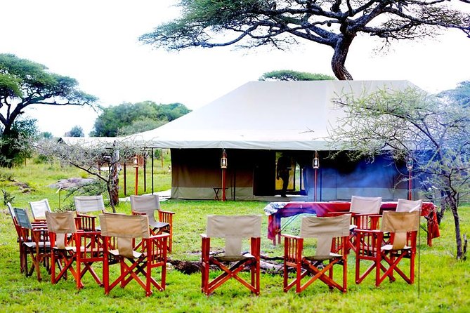 5 Days 4 Nights Tarangire, Serengeti , Ngorongoro & Manyara Wildlife Safari - Day 4: Ngorongoro Crater Descent and Lake Magadi Views