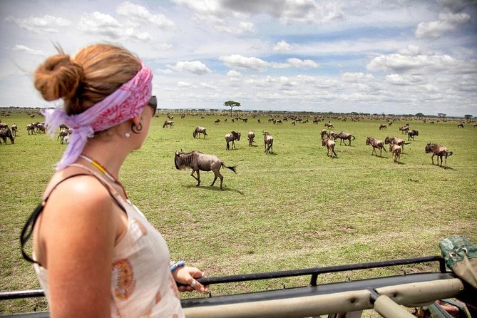 5 Days 4 Nights Tarangire, Serengeti , Ngorongoro & Manyara Wildlife Safari - Day 5: Lake Manyara’s Flamingos, Five Zones, and a Slower Finish