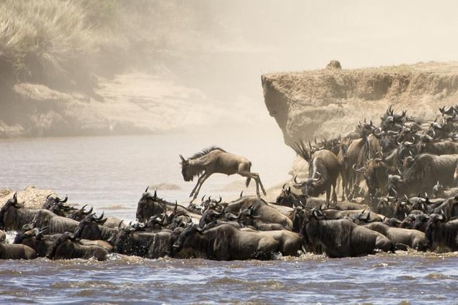 5 Days 4 Nights Tarangire, Serengeti , Ngorongoro & Manyara Wildlife Safari - Day 2: Riding Into Serengeti and Feeling the Scale