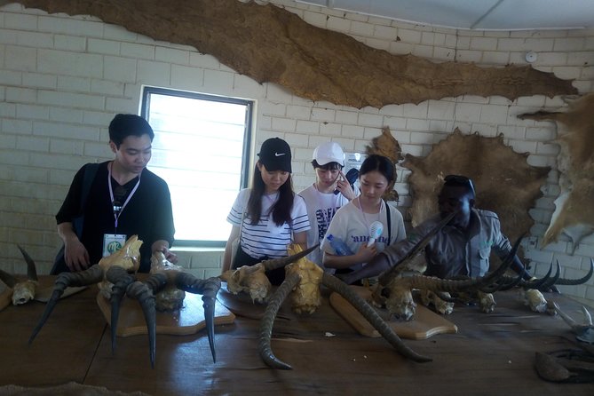 5 Days Adventurous Wildlife Safari - Day 1 at Mole National Park: the main game-drive window