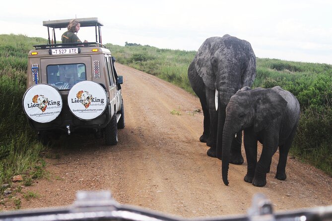 5 Days Best of Tanzania Luxury Safari Northern Circuit - Serengeti Morning Drive: Why 6:30 a.m. Is Worth It