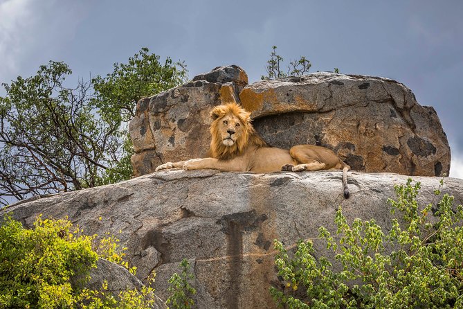 5 Days Budget Private Safari, Tanzania - Day 2: The long road to Serengeti, then a sunset drive