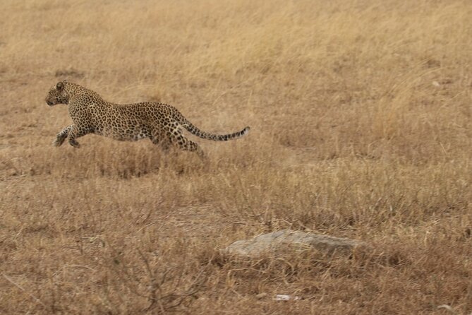 5 Days Group Camping Safari - Day 5 Ngorongoro Crater: The 600-Meter Drop and Lake Magadi