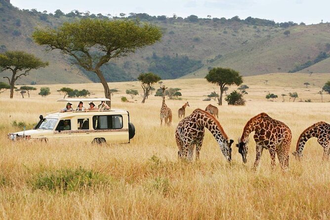 5 Days Safari in Tanzania | Camping and Lodge Safaris - The big picture route: Tarangire, Serengeti, and Ngorongoro Crater