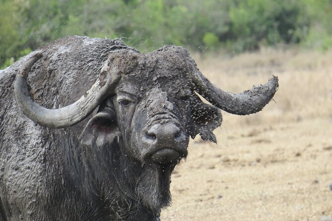 5 Days Safari Northern Circuit of Tanzania - Northern Circuit Safari in Five Days: what you’re really paying for
