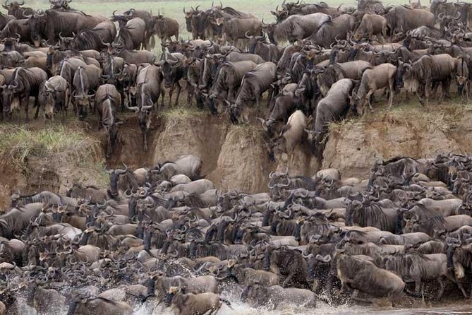 5 Days Serengeti Camping Safari - Camping life: meals, timing, and what to pack