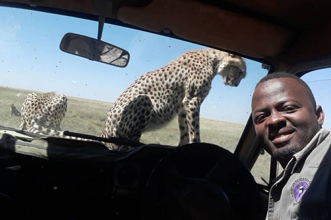 5 Days Tanzania Group Joining Safari, Tarangire/Serengeti/Ngorongoro Crater - Day 1 in Tarangire: A Quieter Start and Elephant Energy