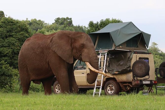 5 Days Tanzania Joining Safari with Pick Up Included Shared Tour - Day 1 in Tarangire National Park: Baobabs, Elephants, and a River-Driven Safari