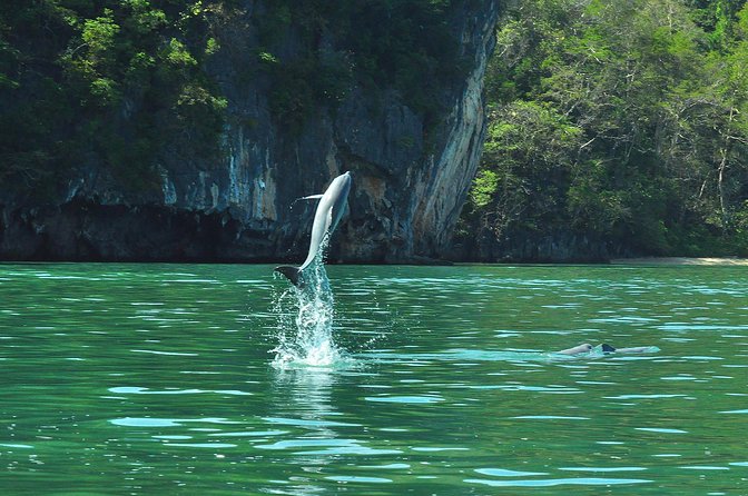 5 Hours Sharing Basis Kilim Mangrove Safari Boat Tour in Langkawi - Wildlife etiquette that keeps the vibe respectful