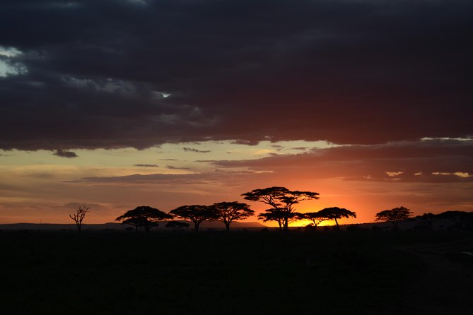 5days Tanzania Safari lodge and camping Serengeti, Tarangire & Ngorongoro Crater - Key highlights worth clocking before you book