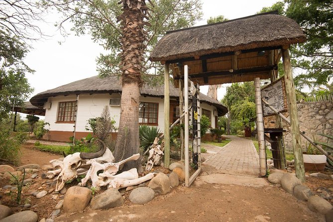 6 Day Classic Kruger National Park Safari from Johannesburg - Day 3: Off-road Kruger days and why Orpen–Satara–Nwanedzi matters