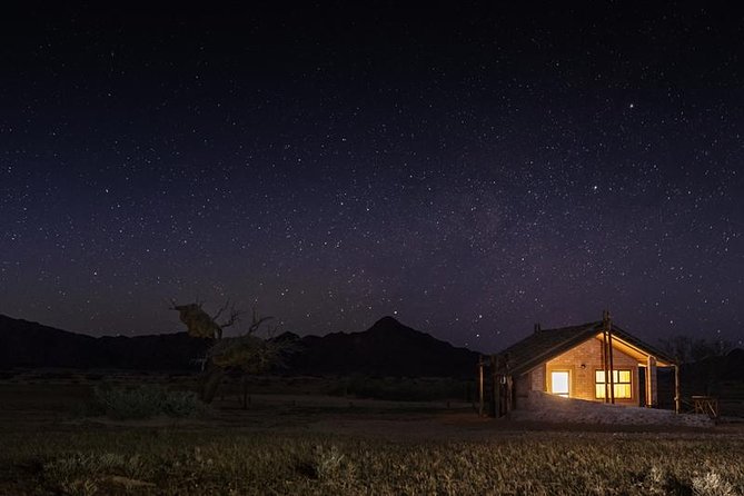 6-Day Dunes and Wildlife Accommodated Safari from Windhoek - Etosha National Park: from Halali waterholes to Etosha Pan flamingo country