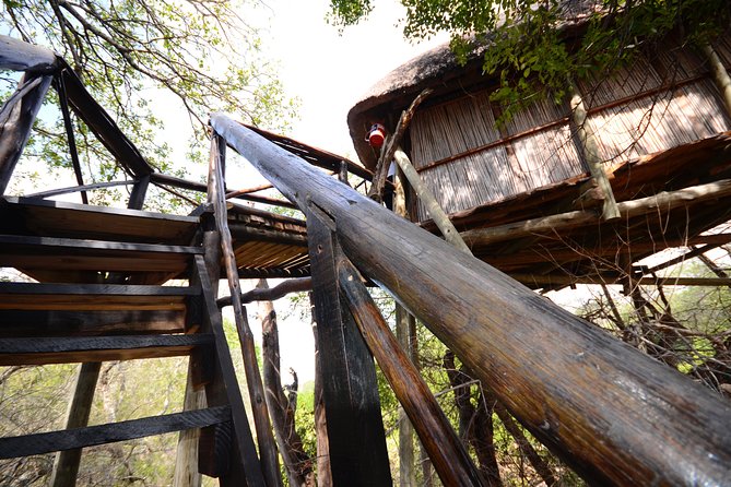 6 Day Lodge and Treehouse Kruger National Park Safari - Price and logistics: what you’re actually getting for $1,148.31