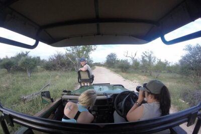 6 Day Lodge and Treehouse Kruger National Park Safari - Day 1 in Balule: arrive, swim, then go hunting after dark