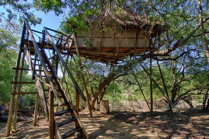 6 Day Lodge and Treehouse Kruger National Park Safari - Day 4 Moholoholo: rehabilitation is the conservation lesson
