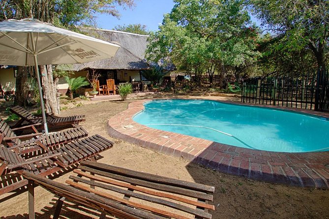 6 Day Lodge and Treehouse Kruger National Park Safari - Days 5 and 6: two Kruger days plus a Motlala morning