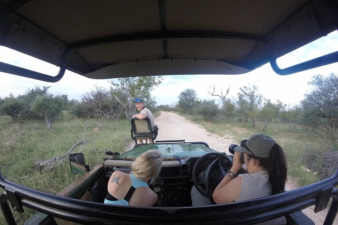 6 Day Lodge and Treehouse Kruger National Park Safari - Day 1 in Balule: arrive, swim, then go hunting after dark