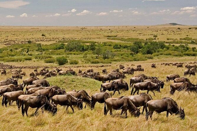 6-Day Private Landcruiser Safari to Masai Mara, Nakuru & Amboseli - Price and logistics: what $2,165 buys you (and what it doesn’t)