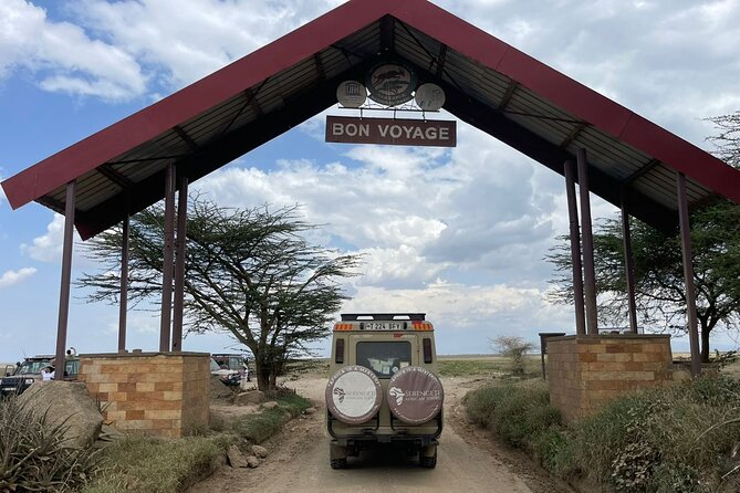 6 Day Tanzania Wildlife Mid range Safari - Tarangire to Ngorongoro: The 4-Park Route That Makes Sense