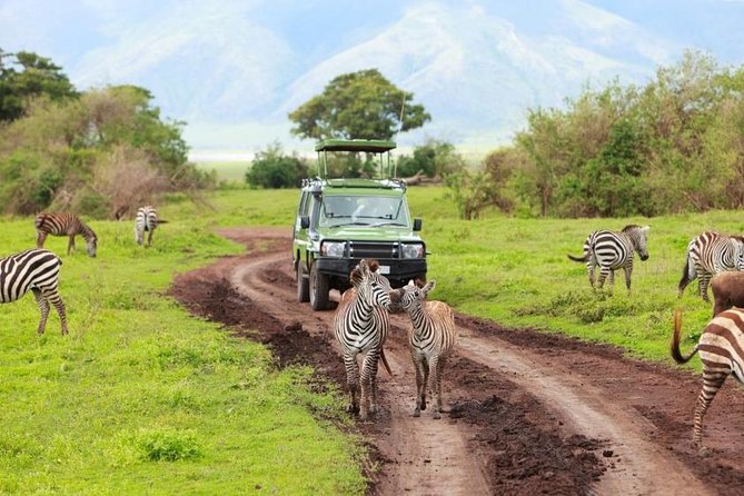 6 Day Tanzania Wildlife Mid range Safari - Serengeti in Two Drives: Seronera Plains and Migration Following