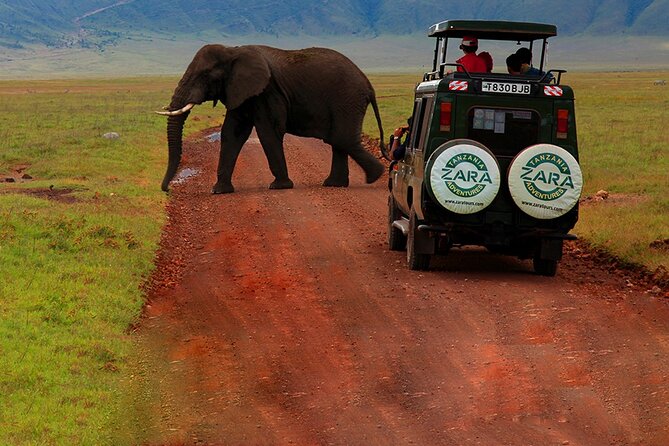 6 Days 5 Night Safari - Staff and Guides: Friendly Service That Helps You Actually Enjoy the Drive