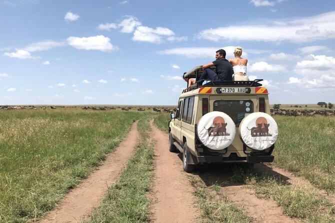 6 days 5 nights safari Ngorongoro, Serengeti and Tarangire National Parks - Serengeti days: sunrise predator odds and the Big Five chase