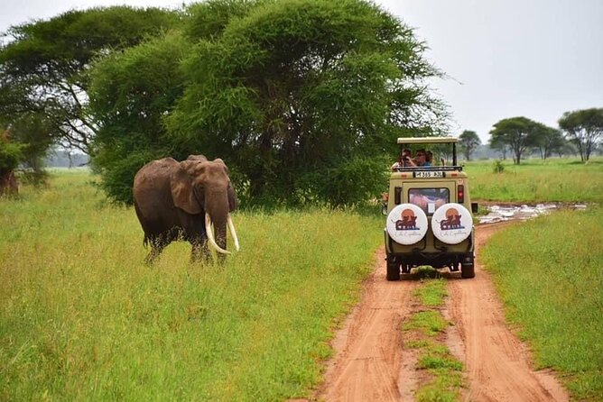 6 days 5 nights safari Ngorongoro, Serengeti and Tarangire National Parks - Timing, drives, and what to pack for sunrise-heavy days