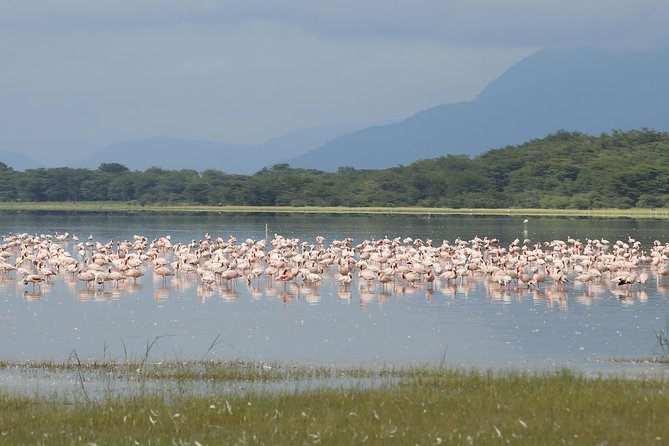 6 days 5 nights safari Ngorongoro, Serengeti and Tarangire National Parks - Price and value: is $2,560 per person fair?