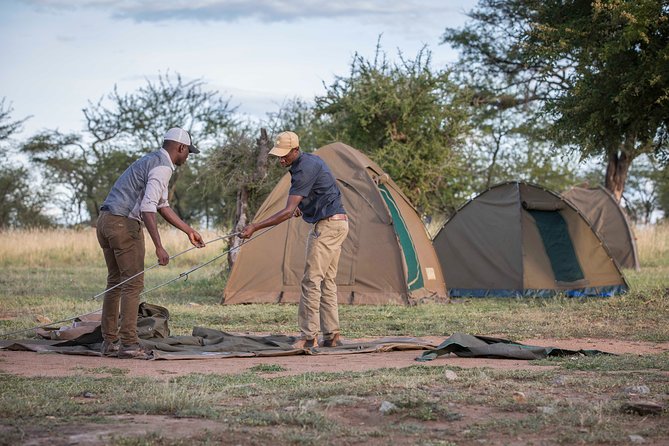 6 Days Private Budget Safari - Tarangire National Park: Elephants, Baobabs, and a River-Filled Day