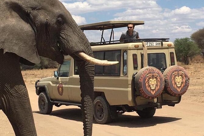6 Days Private Budget Safari - Meals, Lodging, and the Little Comfort Wins That Matter