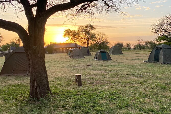 6 Days Private Budget Safari - Price and Value: Is $2,300 Worth It for This Route?