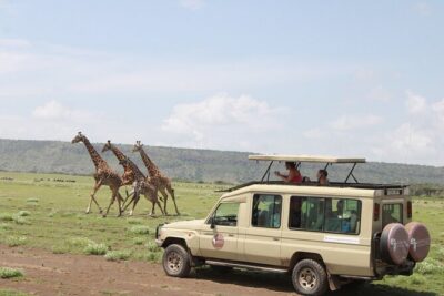 6 Days Serengeti Safari(hiking waterfalls &coffee tour) - Day 1 Tarangire National Park: Elephant Country and Baobab-Studded Savanna