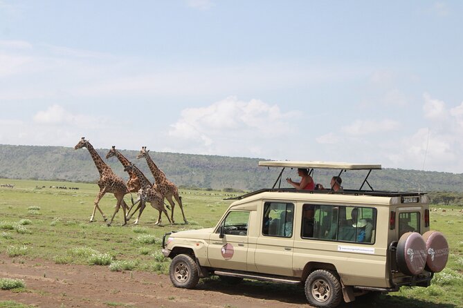 6 Days Serengeti Safari(hiking waterfalls &coffee tour) - Day 1 Tarangire National Park: Elephant Country and Baobab-Studded Savanna