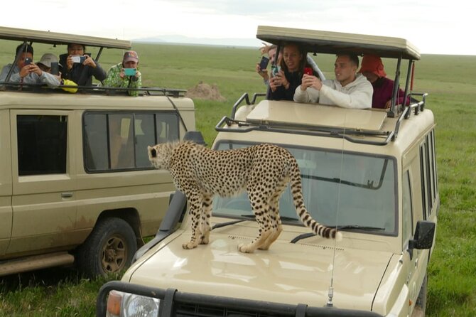 6 Days Tanzania Budget Camping Safari - Ngorongoro Conservation Area day 4: sunrise starts and crater approach