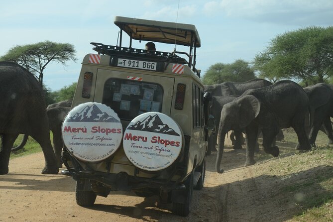 6 Days Tanzania Budget Camping Safari - Lake Manyara day 6: flamingos, hot spring, and the tree-lion rumor