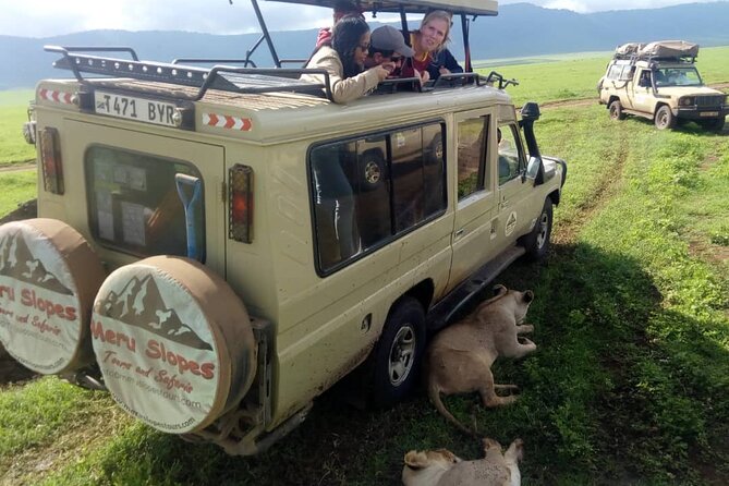 6 Days Tanzania Budget Camping Safari - Guides, organization, and the human side that makes the safari work