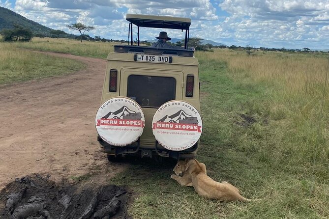 6 Days Tanzania Budget Camping Safari with Migration - Price and logistics: what $1,650 buys you