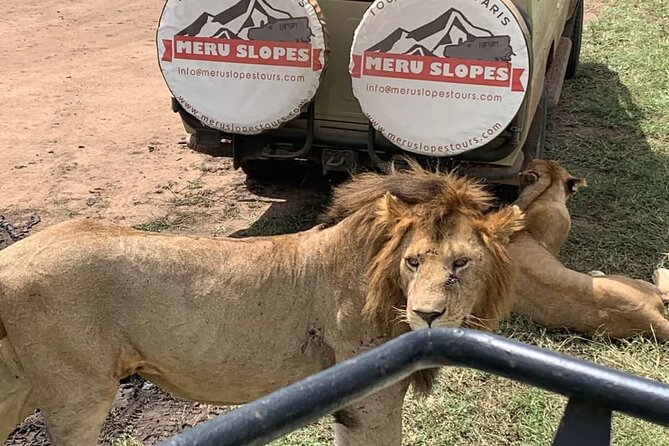 6 Days Tanzania Budget Camping Safari with Migration - Day 4: sunrise Serengeti, then heading for Ngorongoro