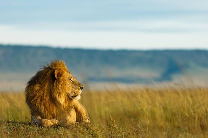 6 Days Tanzania Budget Camping Safari - Arusha base plan and why the small group matters