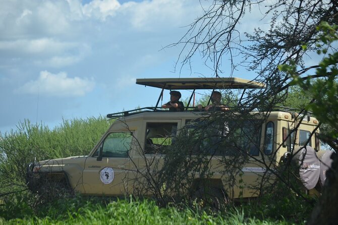 6 days Tanzania budget safari - Small jeeps, big patience: how group size changes your sightings