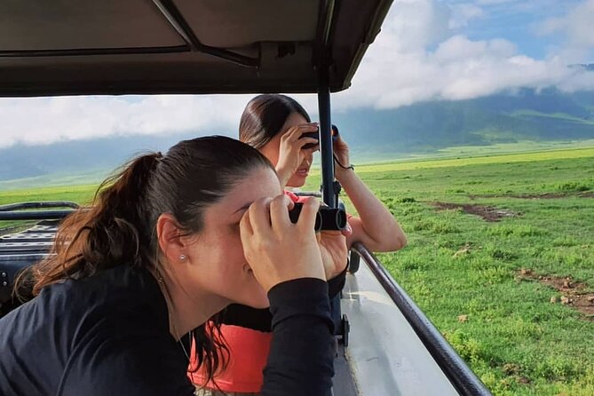 6 days Tanzania budget safari - Day 1 in Tarangire: lions, cheetahs, and elephants up close
